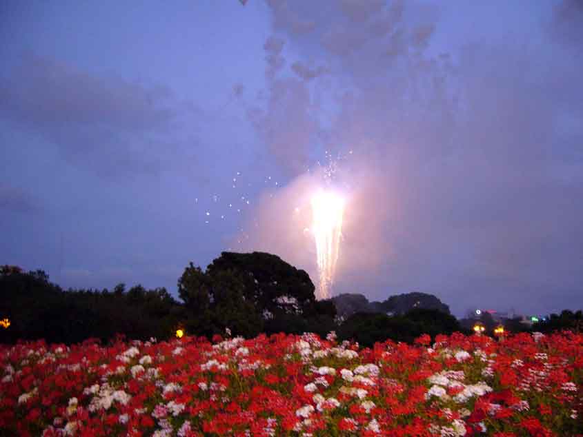 feria de julio de valencia