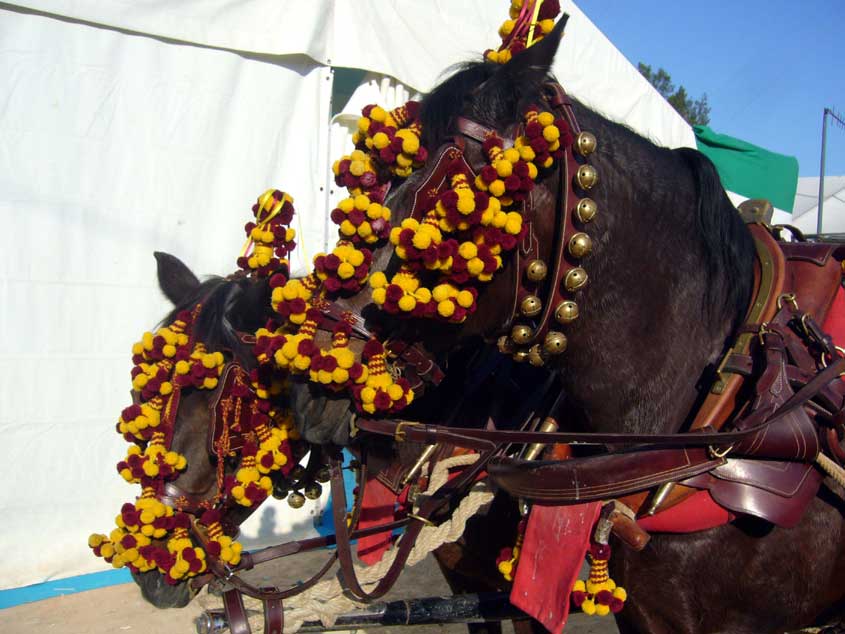 feria andaluza de abril valencia