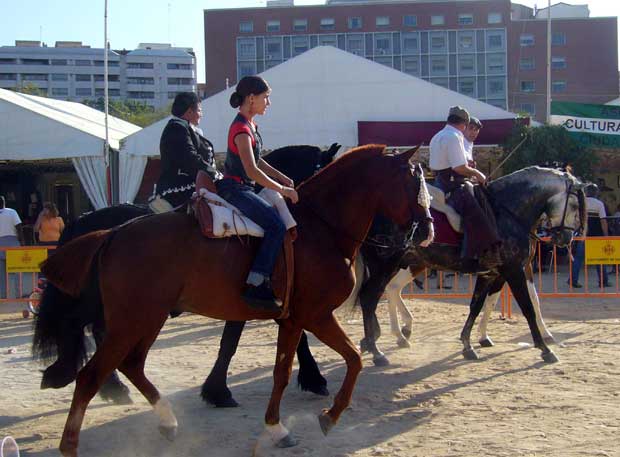 feria andaluza de abril valencia