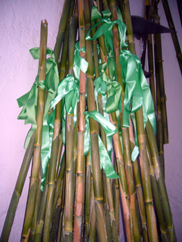 2008 SC Preparativos (11)