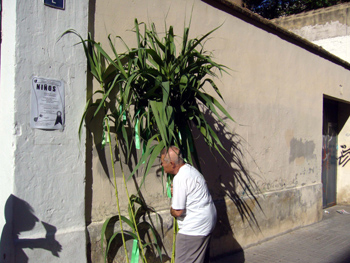 2008 dia canyas (1)