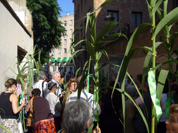 2008 dia canyas (10)