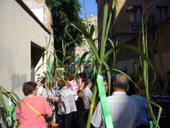 2008 dia canyas (13)