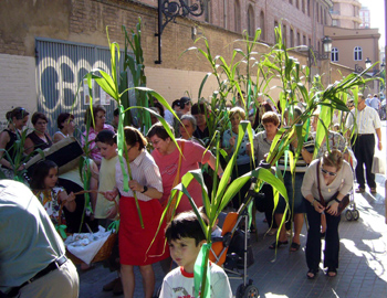 2008 dia canyas (14)