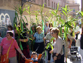 2008 dia canyas (15)