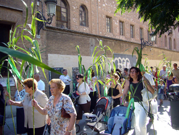 2008 dia canyas (16)