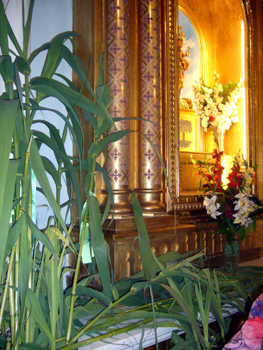 2008 dia canyas (46)