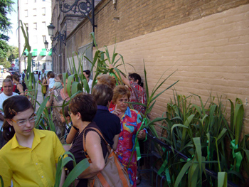 2008 dia canyas (7)