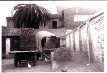 Cuadras Machancoses2