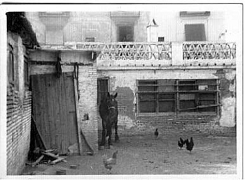 Cuadras Machancoses3