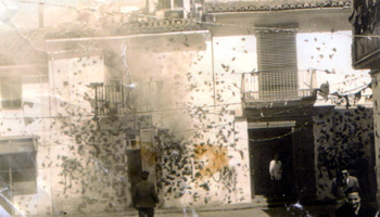 Desperta fallera 1